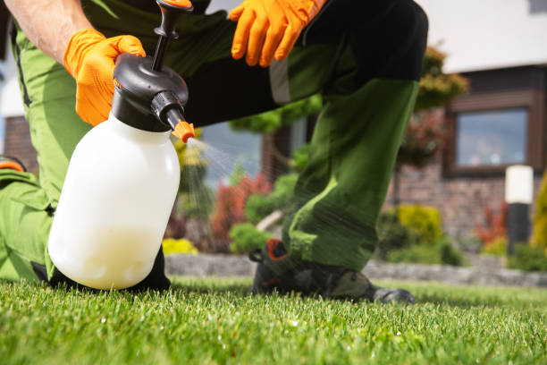 Best Affordable Pest Control Services  in Whiteville, NC