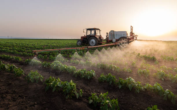 Best Pest Prevention Services  in Whiteville, NC