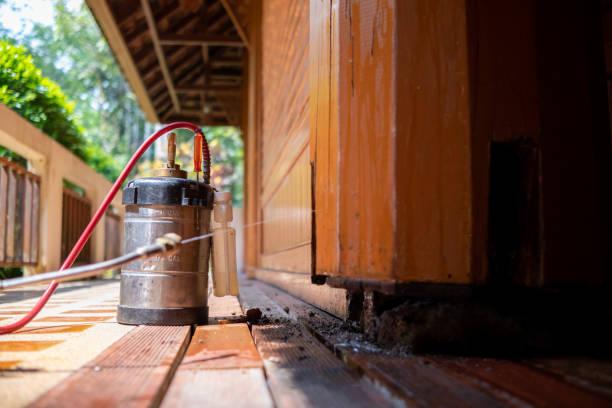 Best Best Pest Control Companies  in Whiteville, NC