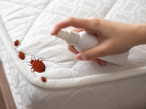 Best Exterminator Services  in Whiteville, NC