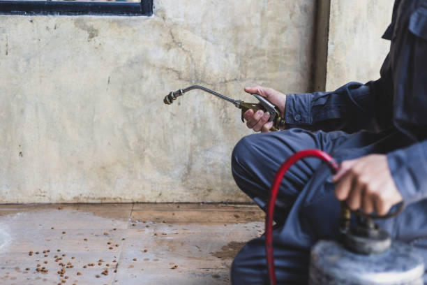 Best Pest Control Treatment  in Whiteville, NC